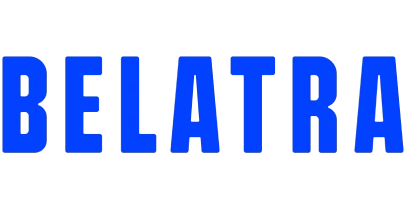 partners who work with vision11