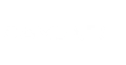 partners who work with vision11