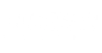 partners who work with vision11