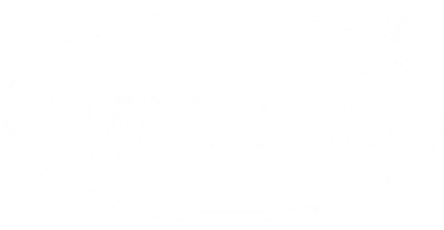 partners who work with vision11