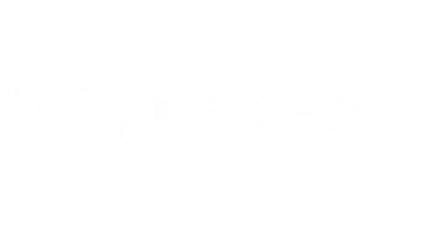 partners who work with vision11