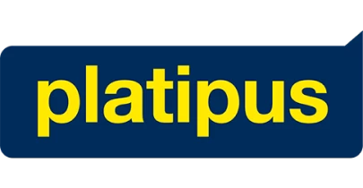 partners who work with vision11