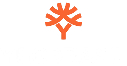 partners who work with vision11